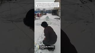 Crafting the Skeleton of Flight