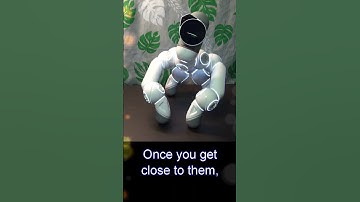 ClicBot Emotional Creature: Sloth #shorts