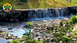 Водопад | Шум Водопада Со Звуками Музыки | Звуки Природы