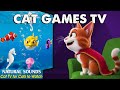 Stimulating Cat Games TV－ANTI LONELINESS TREATMENT for Cat At Home with Funny Video For Cats😸 CAT TV