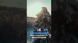 Hyvaa itsenäisyyspäivä / День независимости Финляндии 6/12/2023 #finland #helsinki #shorts
