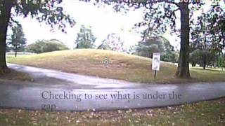 5 inch Alien Tree Gap Dive