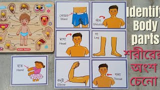 Identify the body parts.Human Body parts. শরীরের বিভিন্ন অংশের নাম চেনা। screenshot 1