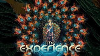 The Experience Festival 2018-19