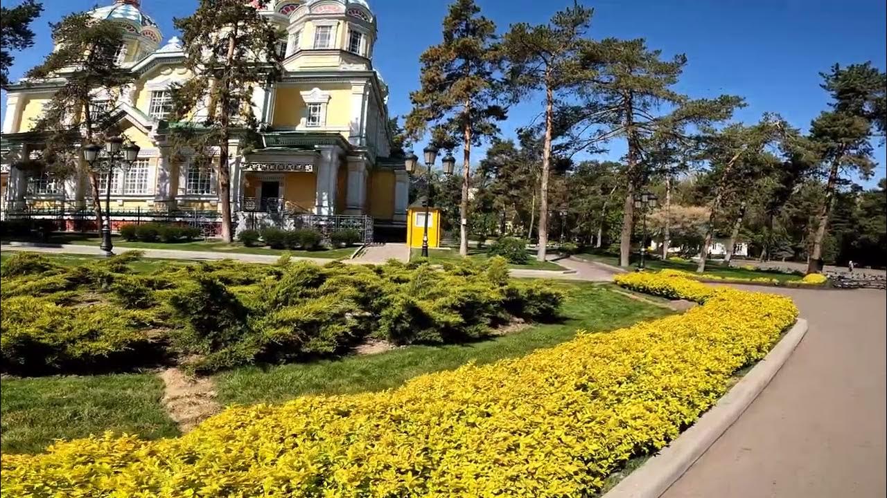 Тюльпаны в парке Алматы Казахстан - YouTube