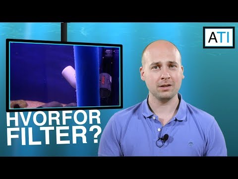 Video: Behöver Jag Ett Filter I Akvariet