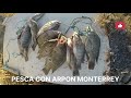 PESCA CON ARPON