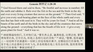 260804 祷告会 Prayer Meeting - 创世记 Genesis 1:28-30
