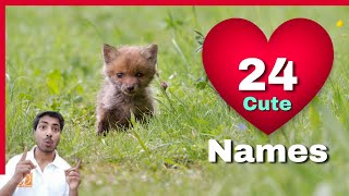Top Cute names for dogs in India ??