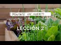 Curso online &quot;Móntate Un Huerto En Casa&quot; - Lección 2 : Cómo sembrar y trasplantar