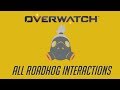 Overwatch - All Roadhog Interactions + Unique Kill Quotes