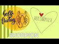 💗SKORPION 💗DEIN ENERGETISCHER WOCHENAUSKLANG