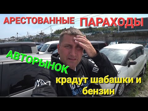 Video: Иван Клиринин ата-энеси кимдер?