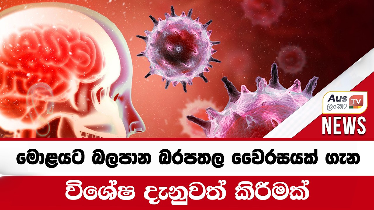මොළයට බලපාන බරපතල වෛරසයක් ගැන විශේෂ දැනුවත් කිරීමක්#auslankatv #newsspicy #auslankatv