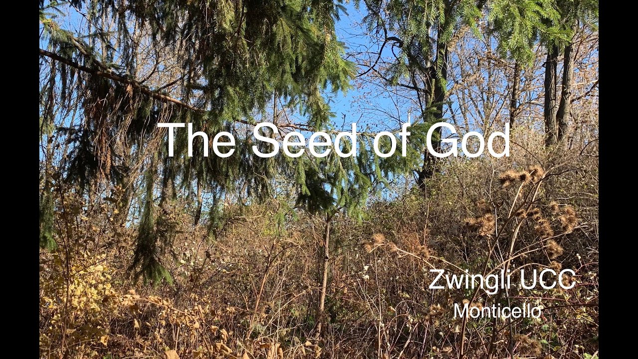 The Seed of God 11-4-20 - YouTube