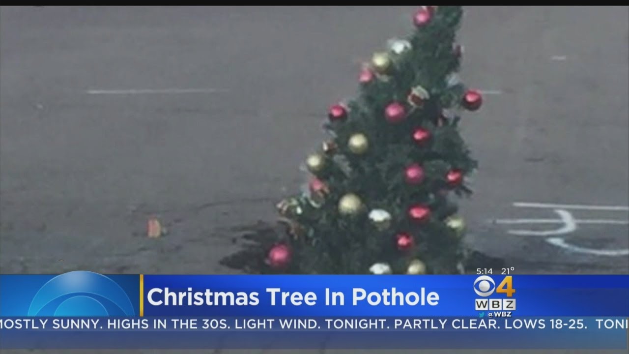 Residents Put Christmas Tree In Pothole While They Wait For Fix YouTube
