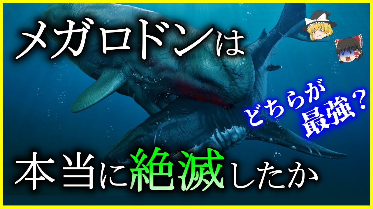 【ゆっくり解説】生まれる前から凶暴⁉「メガロドン」は本当に絶滅したのか⁉を解説/リヴィアタン・メルビレイとどちらが強かった？