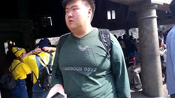 cari burung di Jepang