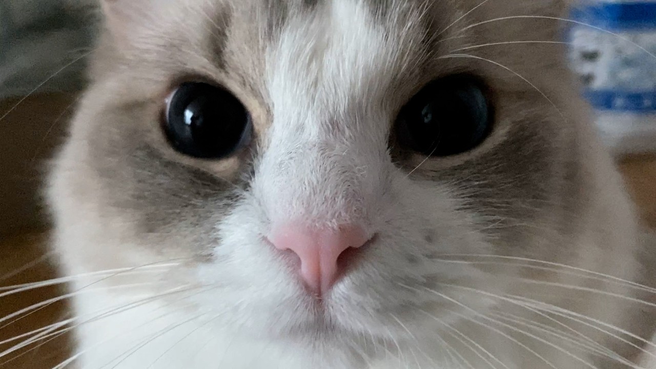 쇼츠 그만 보고 나만 봐.