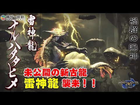 【モンハンライズ】遂に未公開モンスター登場！新古龍、ラスボス「雷神龍・ナルハタタヒメ」を初見で討伐！！