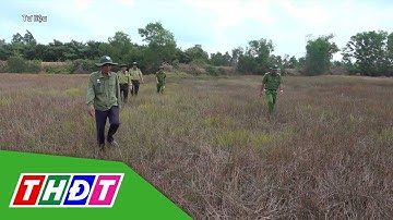 Nắng nóng, miền Tây cảnh báo cháy rừng cấp nguy hiểm | THDT