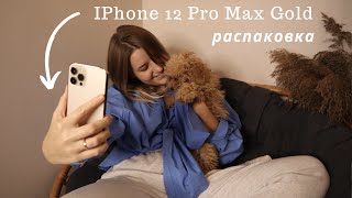 Муж подарил Iphone 12 Pro Max Gold! Первые впечатления