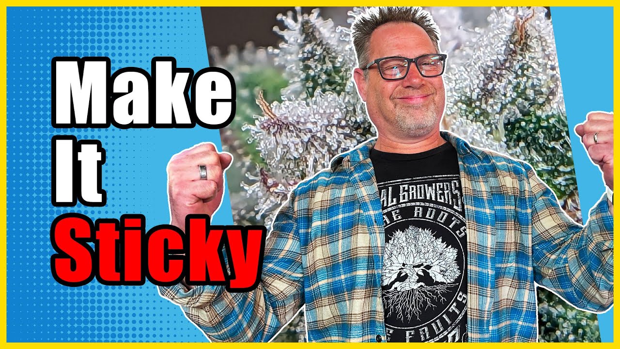 3 поздних изменения цветения, которые приведут к заморозкам