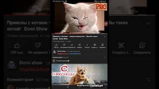 Коты на 4 минуты хватит (данное видео принадлежит Domi Show так что все права принадлежат ему)