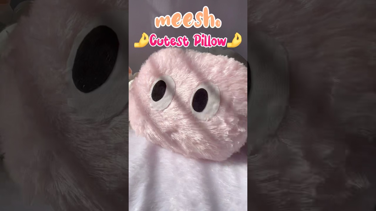 Viral Cutest Pillow from Meesho 