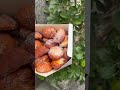 行列のできる一度食べたら100%ハマるシュークリーム 「地下鉄 心斎橋駅から徒歩2分」 📍モーケン #大阪グルメ #大阪スイーツ #心斎橋グルメ #osakafood