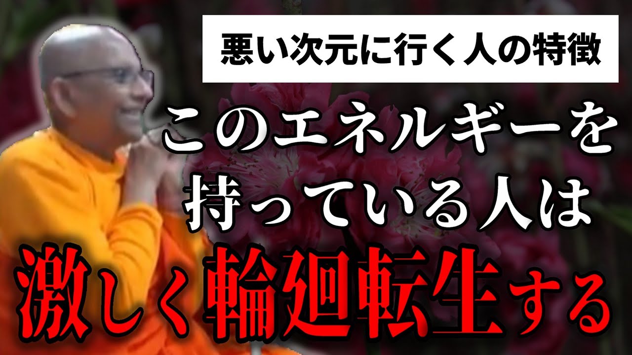 このエネルギーを持っている人は激しく輪廻転生する『その人々は輪廻転生する場合どうしても悪い次元に行きます』【スマナサーラ長老切り抜き】