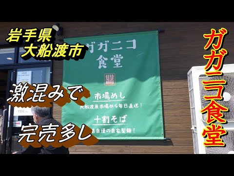 【大船渡市グルメ】【ガガニコ食堂】海鮮丼が食べたかった　激混みでした【岩手県大船渡市】2022 05 02