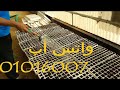 Tomato Nursery From A To Z 