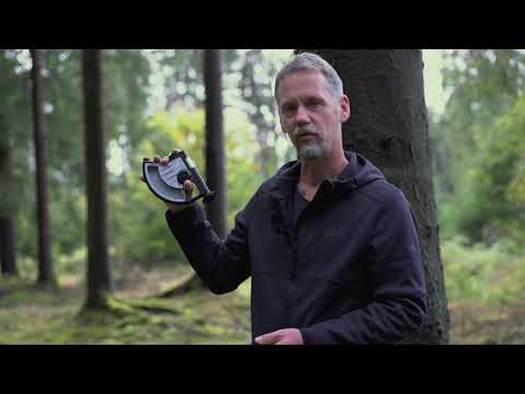 Video: Seberapa lebar pohon cemara Norwegia?