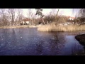 Wycieczka do parku - Wieliczka