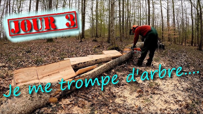 Savoir manier la tronçonneuse pour faire son bois de chauffage