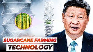 China's Sustainable Sugarcane Farming Technology will SHOCK YOU!