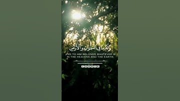 ماتيسر من سورة النحل 🌸 بصوت جميل للقارئ أحمد نفيس