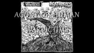 Agathocles & Holiday Suckers [2013][Full Split EP][HQ]
