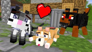 Monster School : Cat and Dog - Life Story - Minecraft Animation