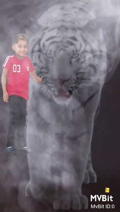 Ghvv
