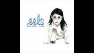 Eels - Rags To Rags