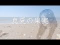 「真夏の果実 / サザンオールスターズ 」cover by ちひろ