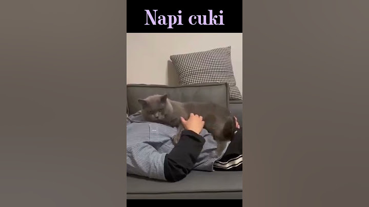 Napi cuki
