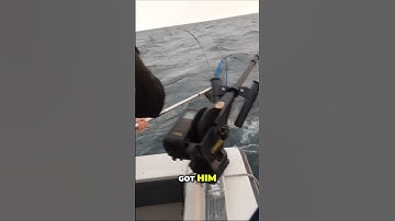 netting chaos. hilarious fishing fails. full video drops tonight