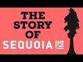 The story of sequoia capital