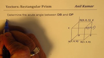 Q15 Nelson Angle Between  OP and AE in Rectangular Prism Unit 6 MCV4U Vectors and Calculus