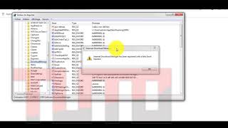 internet download manager has been registered with a fake serial number مشكلة