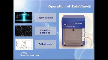 Nanoparticle Tracking Analysis (NTA) with ZetaView®