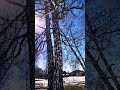 Весна на  улице Западной#веснаидёт